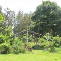 IMG_3558.JPG